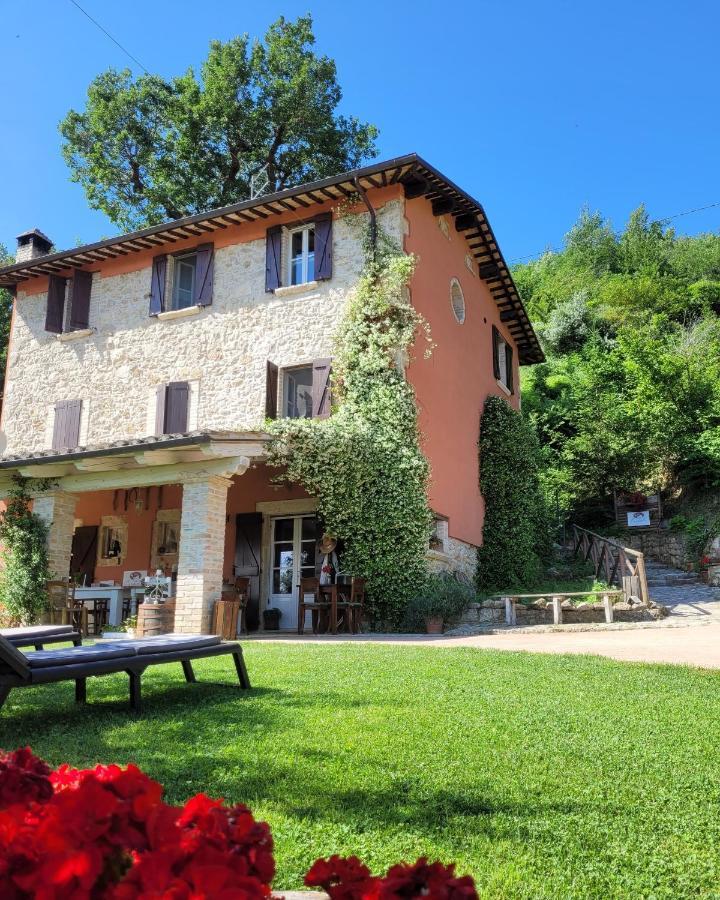 B&B L'Usignolo Ασκόλι Πιτσένο Εξωτερικό φωτογραφία