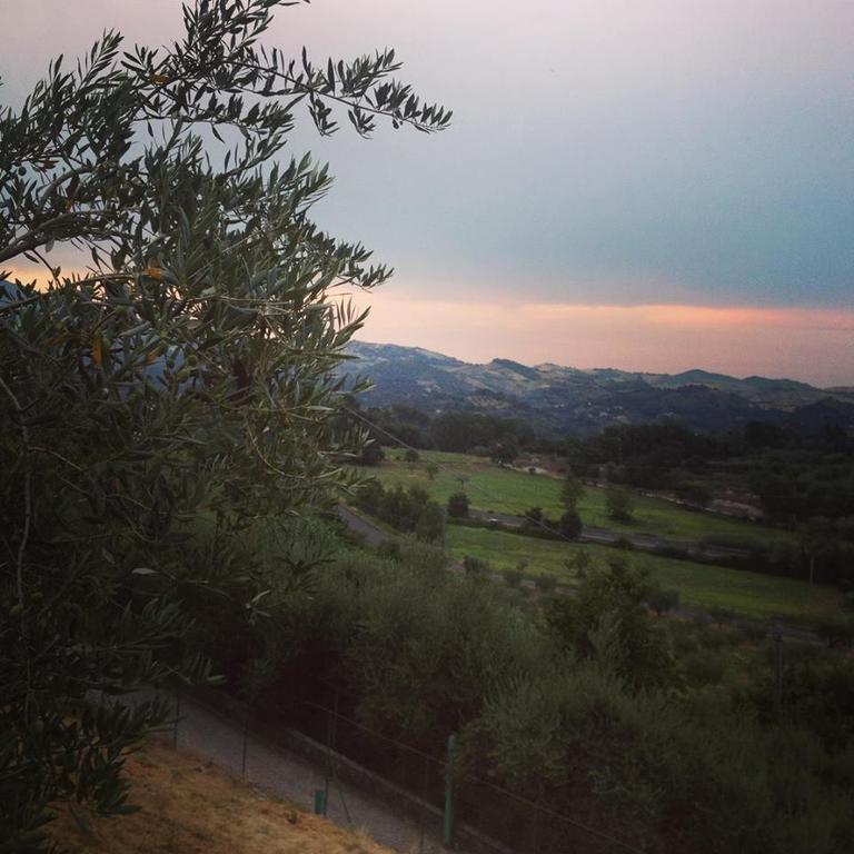 B&B L'Usignolo Ασκόλι Πιτσένο Εξωτερικό φωτογραφία