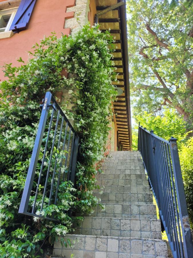 B&B L'Usignolo Ασκόλι Πιτσένο Εξωτερικό φωτογραφία