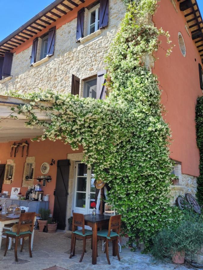 B&B L'Usignolo Ασκόλι Πιτσένο Εξωτερικό φωτογραφία