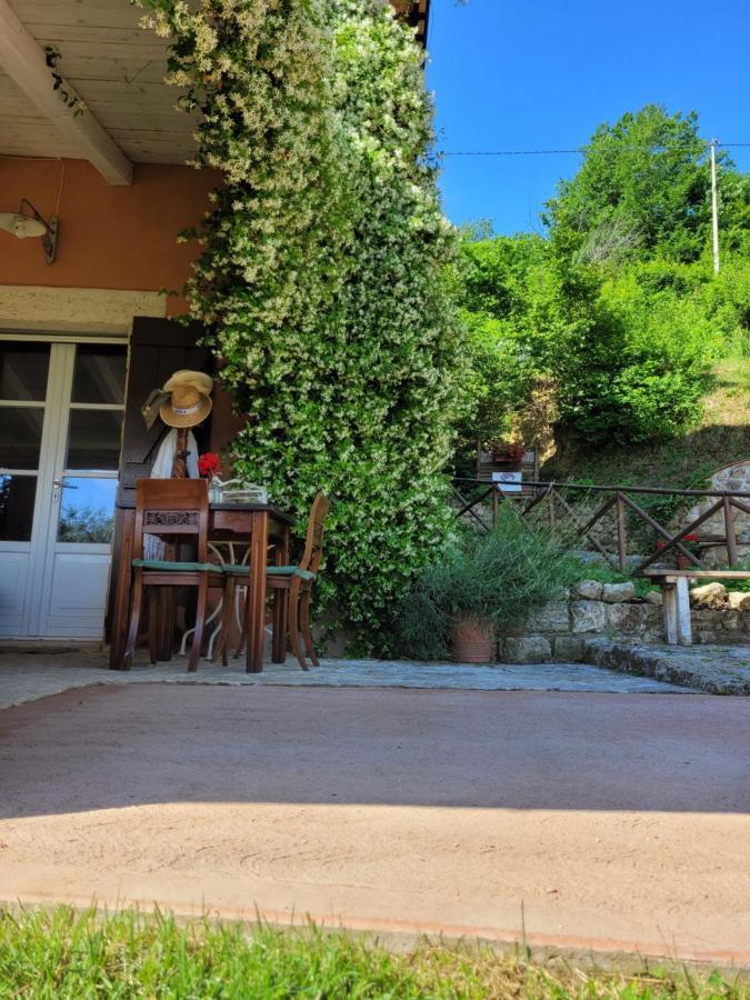 B&B L'Usignolo Ασκόλι Πιτσένο Εξωτερικό φωτογραφία